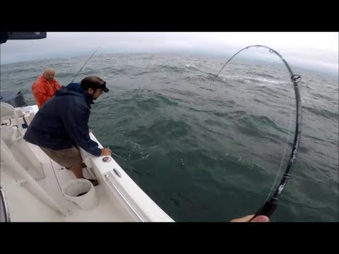 BIG Striped Bass, 7-ounce Rod, Surprising Outcome!