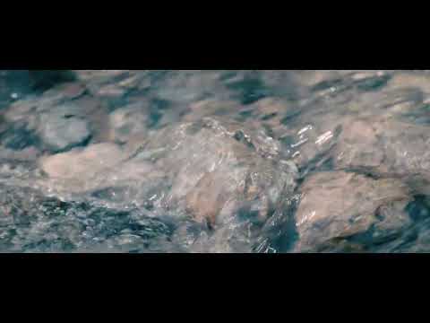 BE QUIET - Sony A7S3 and Sony 70-200 f2.8  GM - Audio RODE