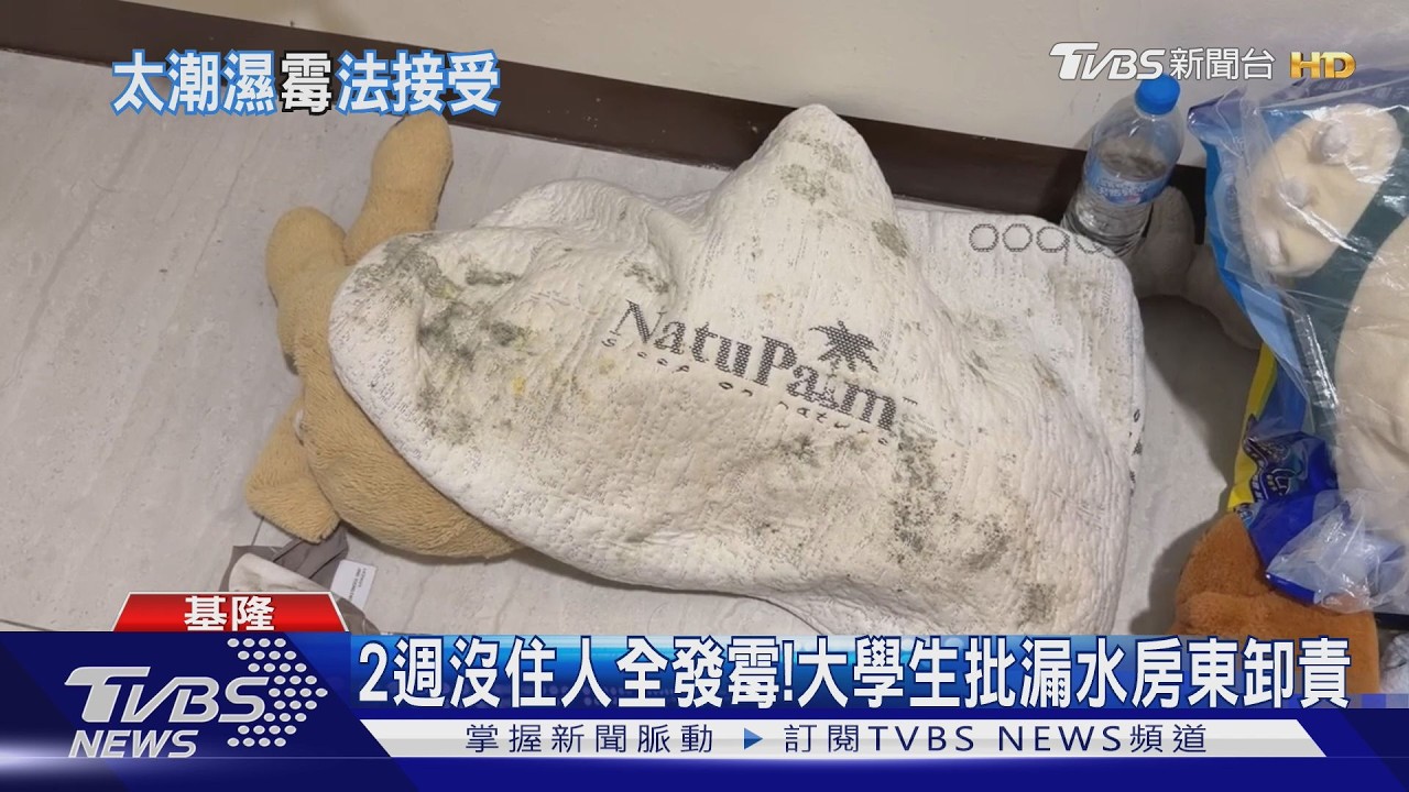 影音/返鄉2週回租屋「滿屋發霉」!床墊枕頭全長黑斑 房間慘變霉窟