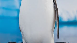 Download lagu ᴍᴀᴅᴀʀɪᴊᴜs sᴀʟɪᴋɪɴ, 𝘛𝘪𝘯𝘨𝘬𝘢𝘵𝘢𝘯² 𝘐𝘬𝘩𝘣𝘢𝘵 mp3