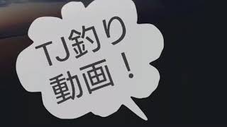 【Tears of joy】シーバス挑戦日記