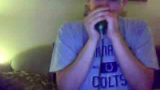 Short instrumental of &quot;Another Half a Pint&quot; by Sonny Boy Williamson I