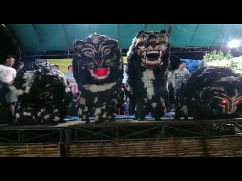 Can Macanan Madura Feat Bunga Idaman || Live In Karanganyar Madura