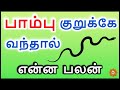 பாம்பு குறுக்கே சென்றால் என்ன பலன் Pambu