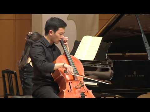 Zigeunerweisen op. 20