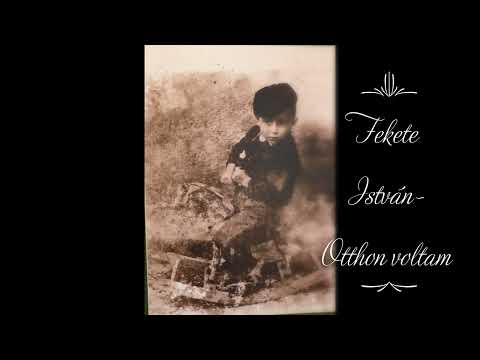 Fekete István- Otthon voltam
