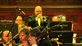 The Green Hornet - Jan Hasenöhrl - Prague Proms 2014