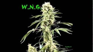 W.N.G. - Cannabis (Demo) + Lyrics