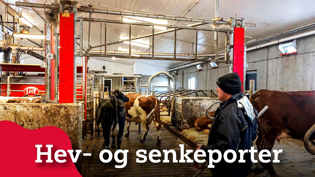 Hev- og senkeporter
