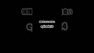 保護犬わさびとの出会い▶︎▶︎episode14(Day11）#保護犬#元野犬#わさび