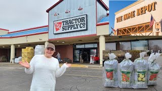 Buying Fruit Trees. Tractor Supply vs. Home Depot. Peach & Apple Trees 2022
