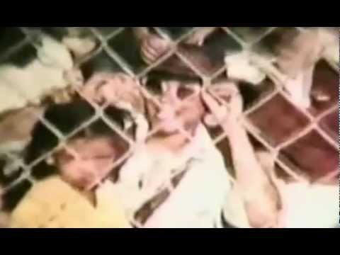 3. STRANGE AFFAIR - MINNIE RIPERTON (Love Lives Forever Album)