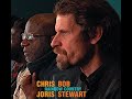 Hedge Cut - Chris Joris/Bob Stewart - Rainbow Country