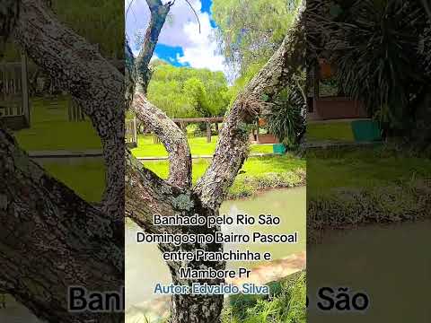 Entre Pranchinha e Mambore Pr
