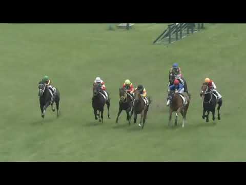 2023.06.25 2yo Newcomer (JPN) - Gamble Room