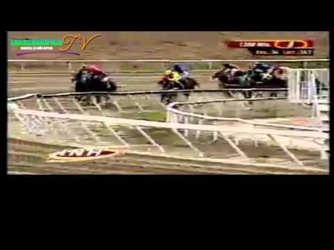 la rinconada 8 carrera domingo 4 de mayo del 2014