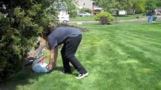 The Little Grasshopper Who Could