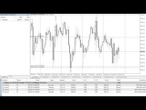 Video Momentum Horizon