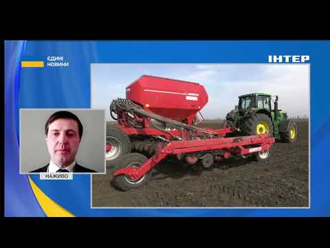Большинство озимых в Украине находится в удовлетворительном состоянии, пересева могут потребовать менее 10% площадей — Высоцкий