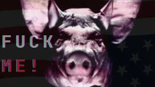 KMFDM VS PIG - Hoghunter VS Fuck Me (Mashup Music Video) 🏴 #KMFDM #PIG #Hoghunter #FuckMe #oldskool