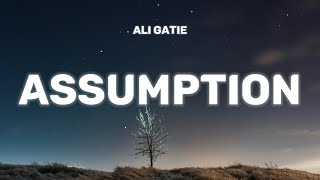 Ali Gatie - Assumption (Lyrics)