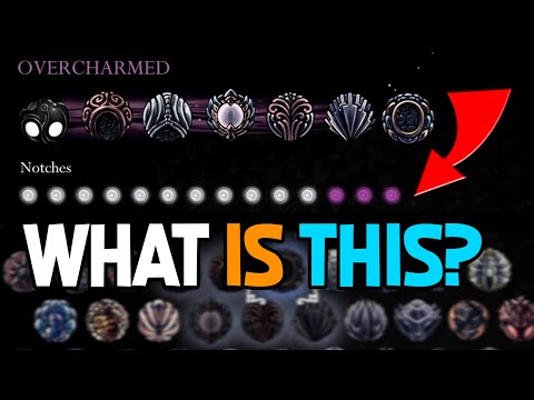 Hollow Knight - What is Over Charmed