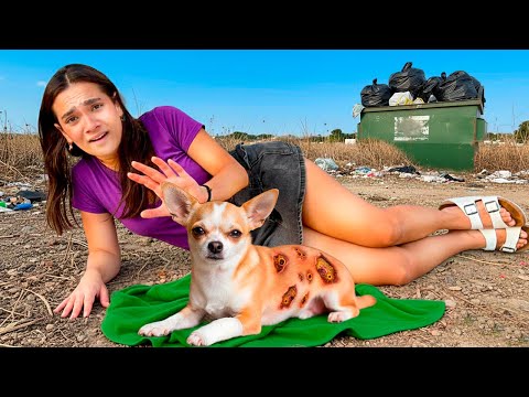 A dog attacked Tiffany in the street! *Very sad*