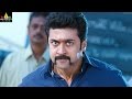 Surya Punch Dialogues Singam Movie Powerful Dialogues Sri Balaji Video