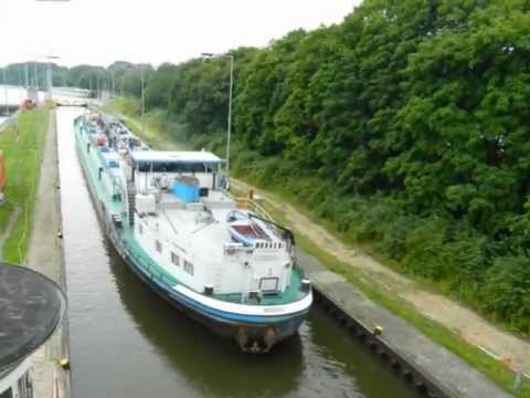 Worker I - TMS - 06002267