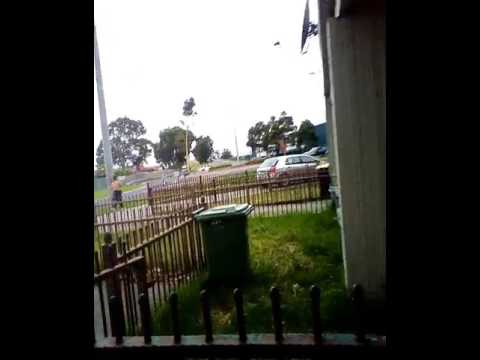 Stolen car dick head