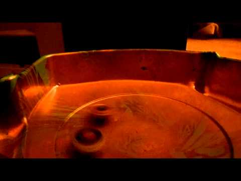 Diablo nemesis X:D VS Ray Unicorno epic battle