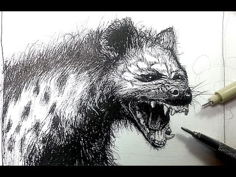 Pen Ink Drawing Tutorials | Draw a Hyena