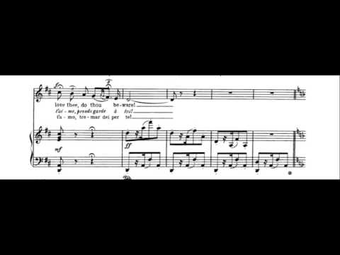 Habanera from Carmen ("L'amour est un oiseau rebelle") - Karaoke instrumental