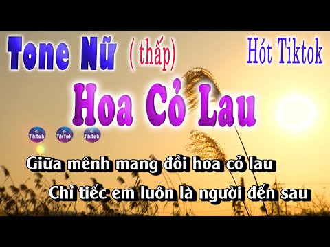 Hoa Cỏ Lau karaoke Tone Nữ Thấp Phong Max Hot tiktok