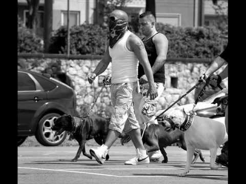 Crazy Karakan, AKA, SDog, 9mm, Malik Kopfschuss