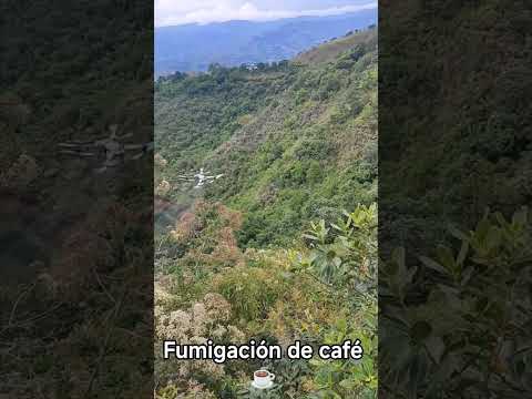 Fumigación con dron Vereda Satía, Suaza Huila #foryou #youtube #ytshorts #viral #agro #fyp  #video