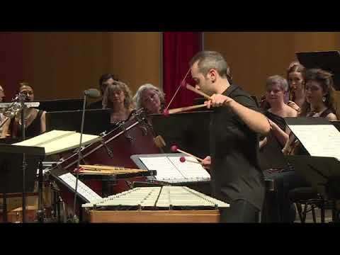 Simone Rubino performing Oblivion - Piazzolla with SRV1 #mallets by APinstrument