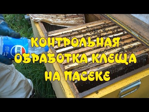 КОНТРОЛЬНАЯ ОБРАБОТКА ПЧЁЛ ОТ КЛЕЩА ВАРРОА НА ПАСЕКЕ. ОБРАБОТКА ПЧЁЛ БИПИНОМ.