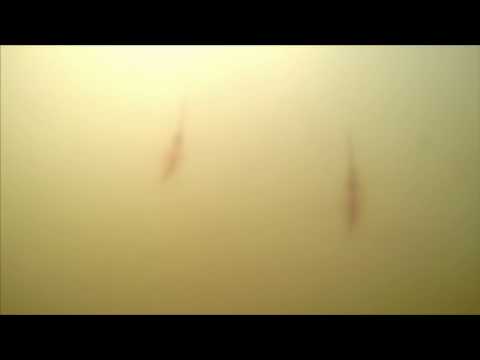 OCNA SIBIULUI - Romania