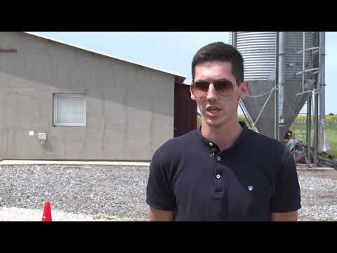 Farma pilića - Ravni Topolovac