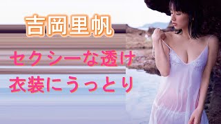 【吉岡里帆・よしおか りほ】セクシーな透け衣装にうっとり