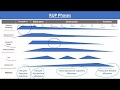 Rational Unified Process RUP