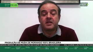 Miniatura do vídeo