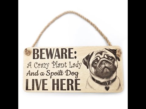 Crazy Dog Pug Plaque