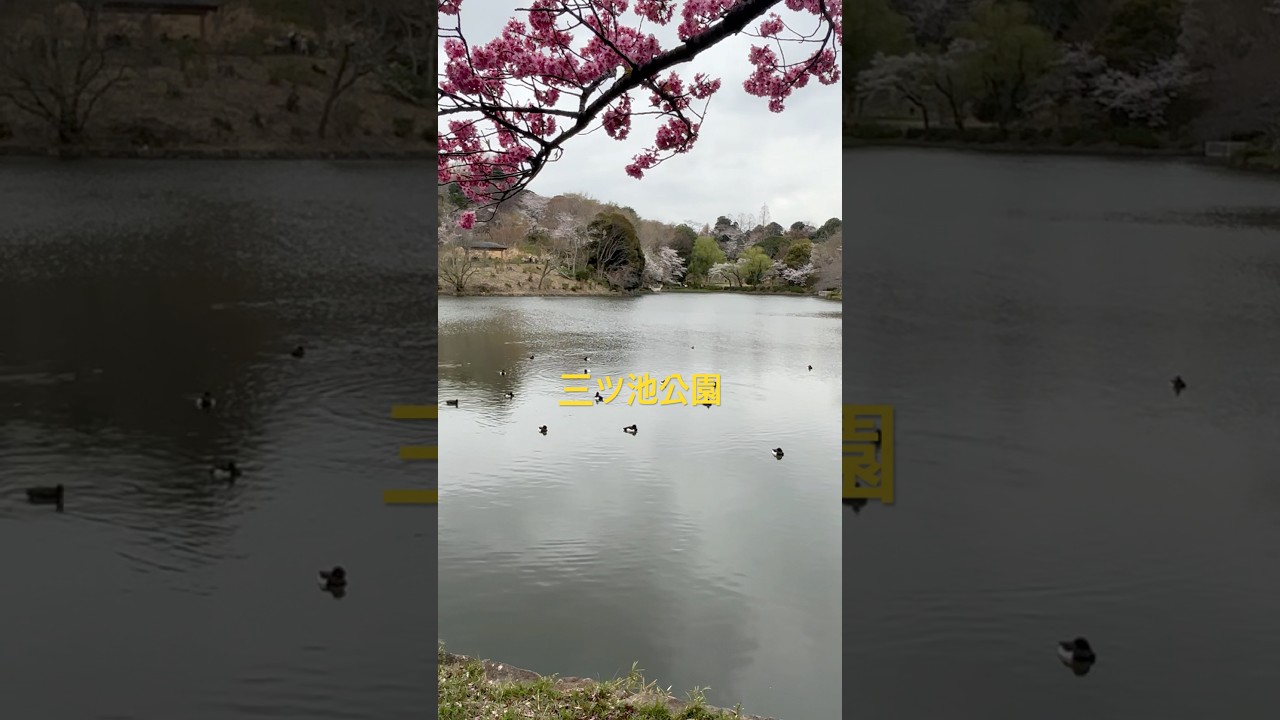 YouTube Short thumbnail