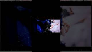 【#盗作】【#ヨルシカ】【#shorts】【#永久機関】  #盗作 #ヨルシカ  プロフよりYouTube fullへ飛べます！ #初音ミク #anime  #hatsunemiku