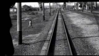 Laleh forgive but not forget