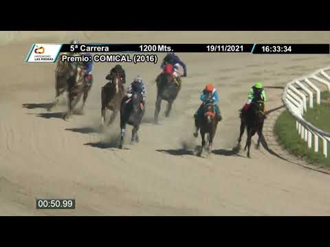 211119 c05 - MISTER PINTOS - HIPODROMO LAS PIEDRAS