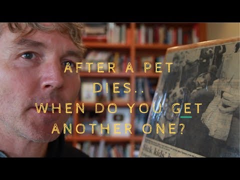 Your Dog or Cat Dies..When To Get Another Pet?