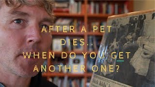 Your Dog or Cat Dies..When To Get Another Pet?